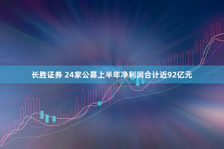 长胜证券 24家公募上半年净利润合计近92亿元