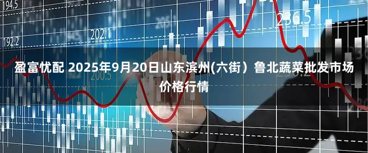 盈富忧配 2025年9月20日山东滨州(六街）鲁北蔬菜批发市场价格行情