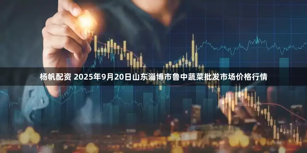 杨帆配资 2025年9月20日山东淄博市鲁中蔬菜批发市场价格行情